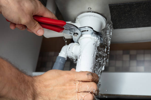 Best Mold removal after water damage  in Bohners Lake, WI