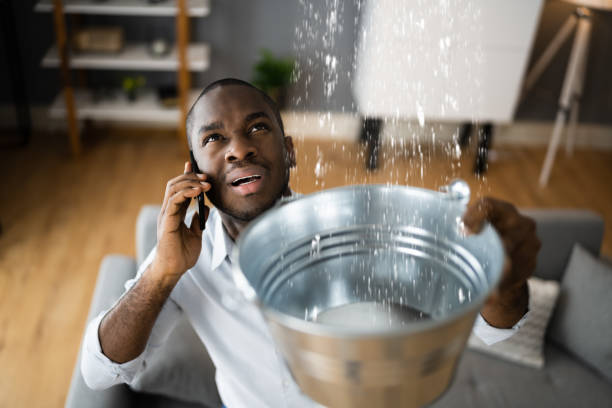 Best Flood damage cleanup  in Bohners Lake, WI