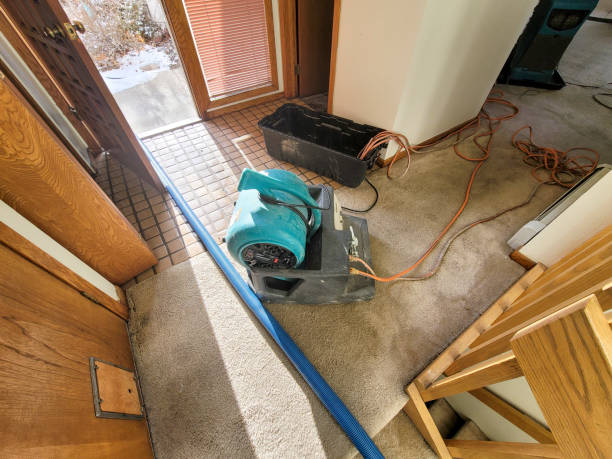 Best Residential water damage restoration  in Bohners Lake, WI