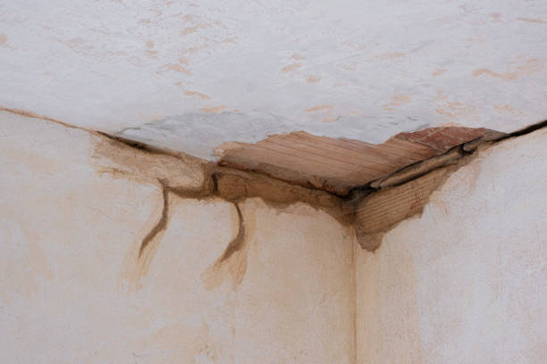 Best Water damage cleanup near me  in Bohners Lake, WI