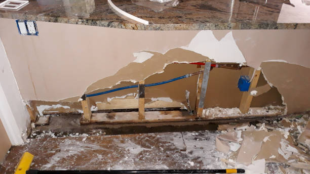 Best Flood damage cleanup  in Bohners Lake, WI