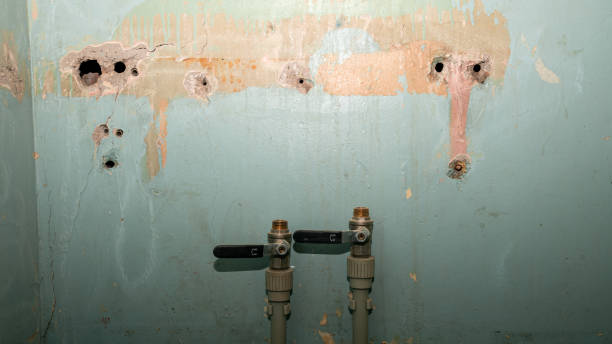 Best Commercial water damage restoration  in Bohners Lake, WI