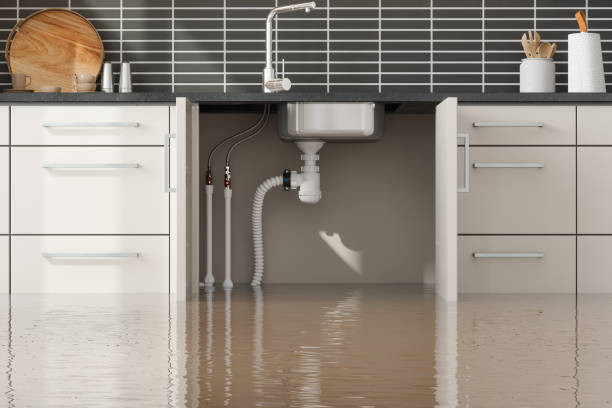 Best Water damage restoration near me  in Bohners Lake, WI